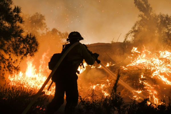 Firefighters Combat Grass Fire in Salalah’s Qairoon Hairiti
