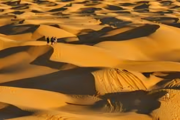 Dhofar Governorate: Leading Destination For Winter Tourism