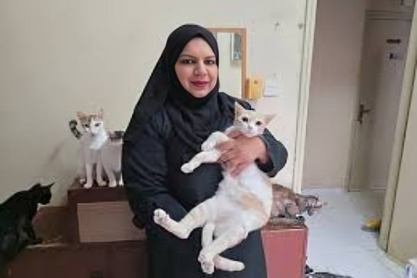 Aisha Rashid Faces Eviction Over 65 Rescued Cats In Dubai