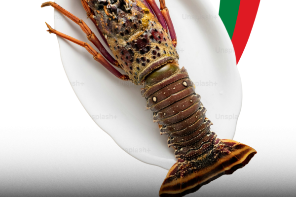 he Oman Ministry of Agriculture, Fisheries and Water Resources announces the start of the lobster fishing season from 1 October to 30 November 2025.